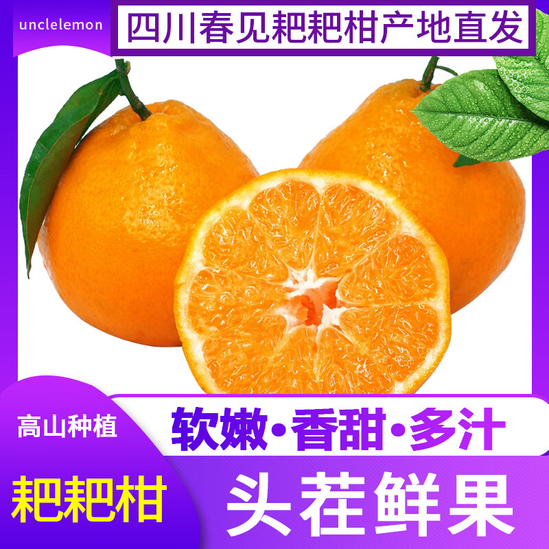 uncle lemon四川春见耙耙柑新鲜橘子正宗粑粑柑当季桔子孕妇水果果园新鲜现摘 9斤 大果【真心甜甜】新鲜现摘丨个头均匀
