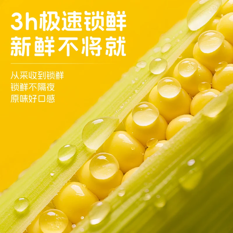 率鲜达黄糯玉米穗东北非转基因黏糯低脂送礼杂粮真空包装4.2斤8穗装 【加量升级黄金14厘米】2200g*1箱