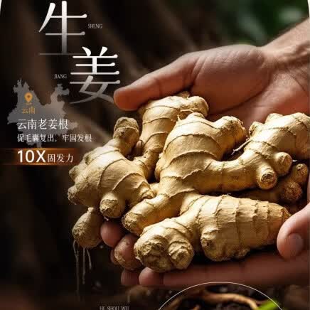 YTYU中药防脱洗发水育发固发养发老姜何首乌防脱生姜脱发滋养强发 三瓶【头发猛涨】 500ml  