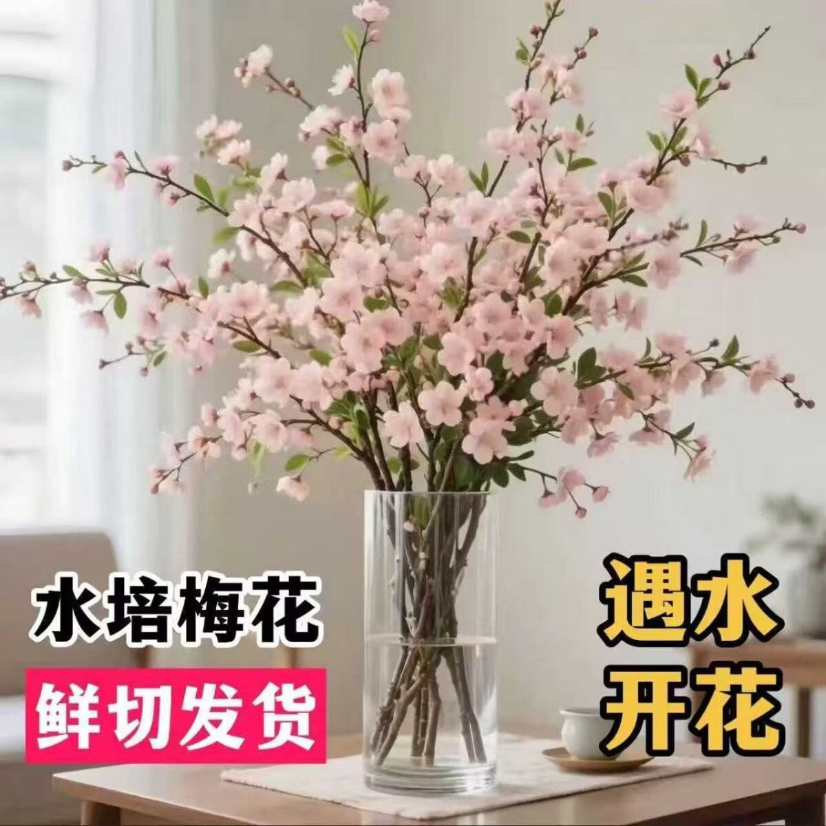 小红书同款遇水开花水培梅花AA 50-70厘米橙色 三周期开花10支（接受图与实物有色差拍）