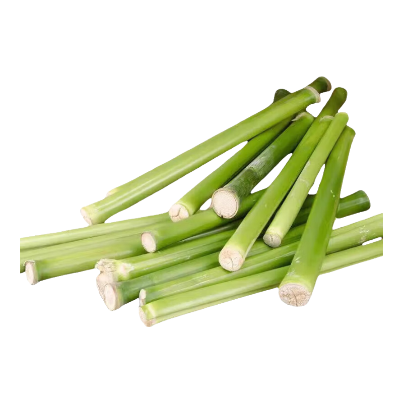 ԭװ𱱷ƷƷָ A5 6.4Ԫ