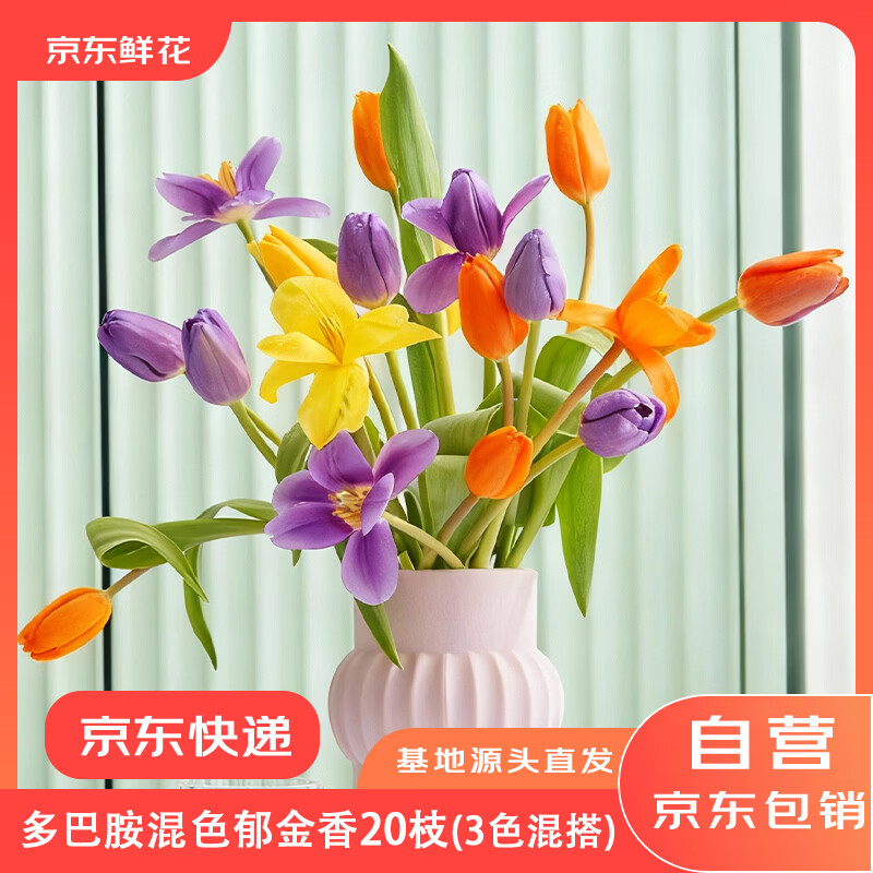 京东鲜花跨晚同款-郁金香鲜花20枝多巴胺混色（三种颜色混搭）源头直发