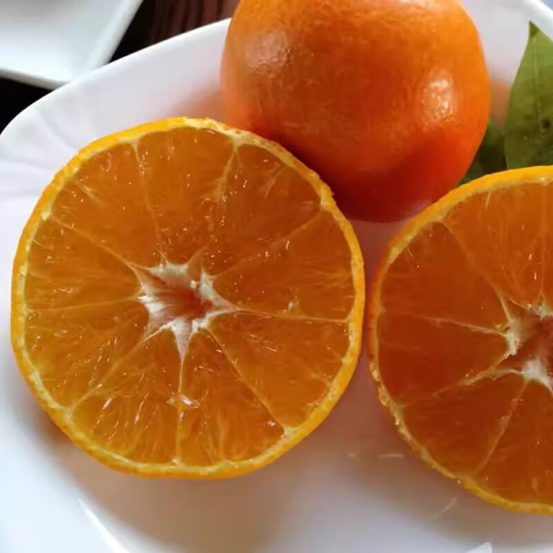 绿熊庄园【京东】正宗红美人柑橘28号果冻橙薄皮无核新鲜当季水果孕妇礼盒 中大果200-250g 净重5斤