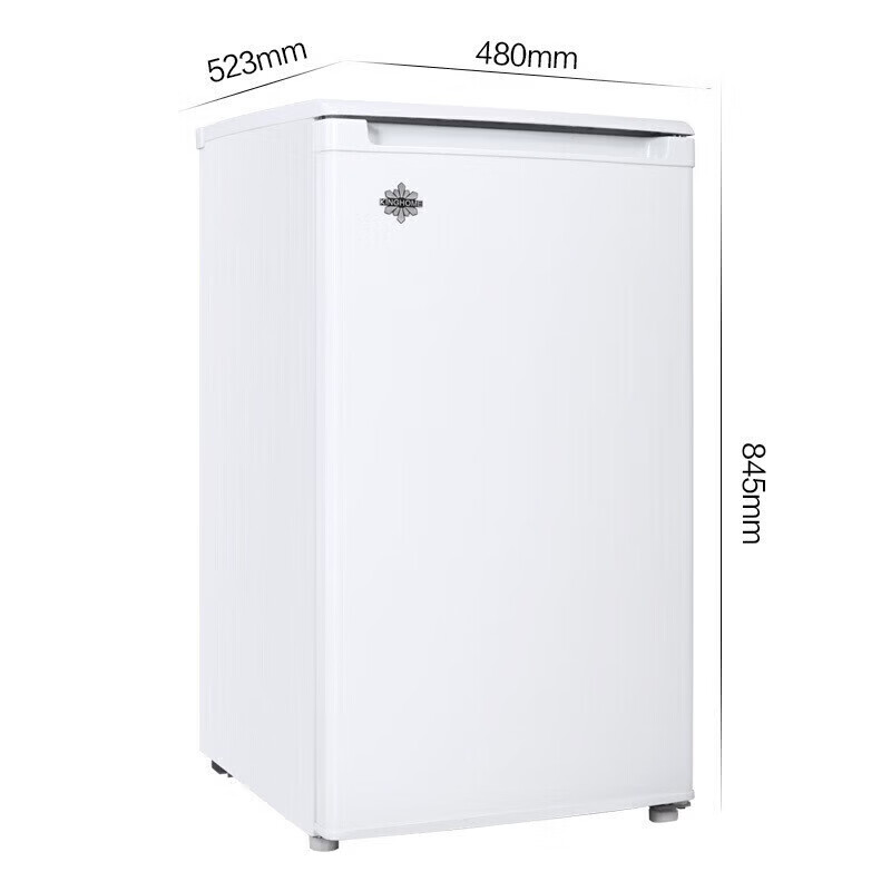 格力（GREE）晶弘冰箱96L单门迷你小冰箱 冷蔵微冷冻节能 家用宿舍租房电冰箱 白色 【送货上门】 白色