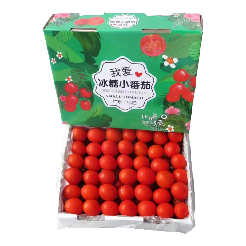 ������ժʥŮ�� ���װ ��ɫ 2�� 9.99Ԫ