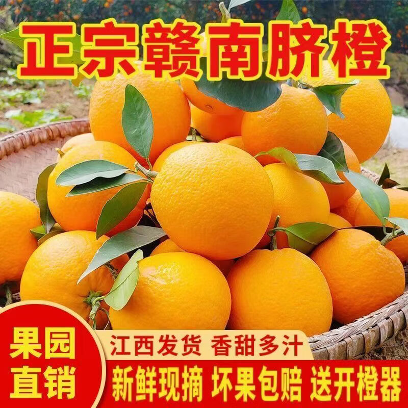 【商超精品】江西赣南脐橙新鲜孕妇水果手剥甜橙整箱包邮 20斤装(含箱)标准果（60-69mm）