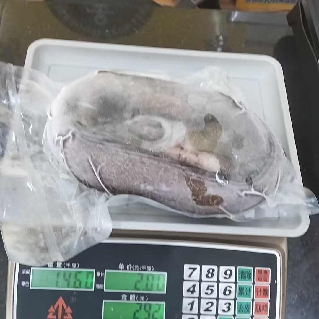 【顺丰冷链包邮】正宗海南直发野生大海鳗鱼新鲜活冻深海冷冻鱼类 每条 2.5 斤-3.03斤 /发 3 条【顺丰包邮】海南千年渔