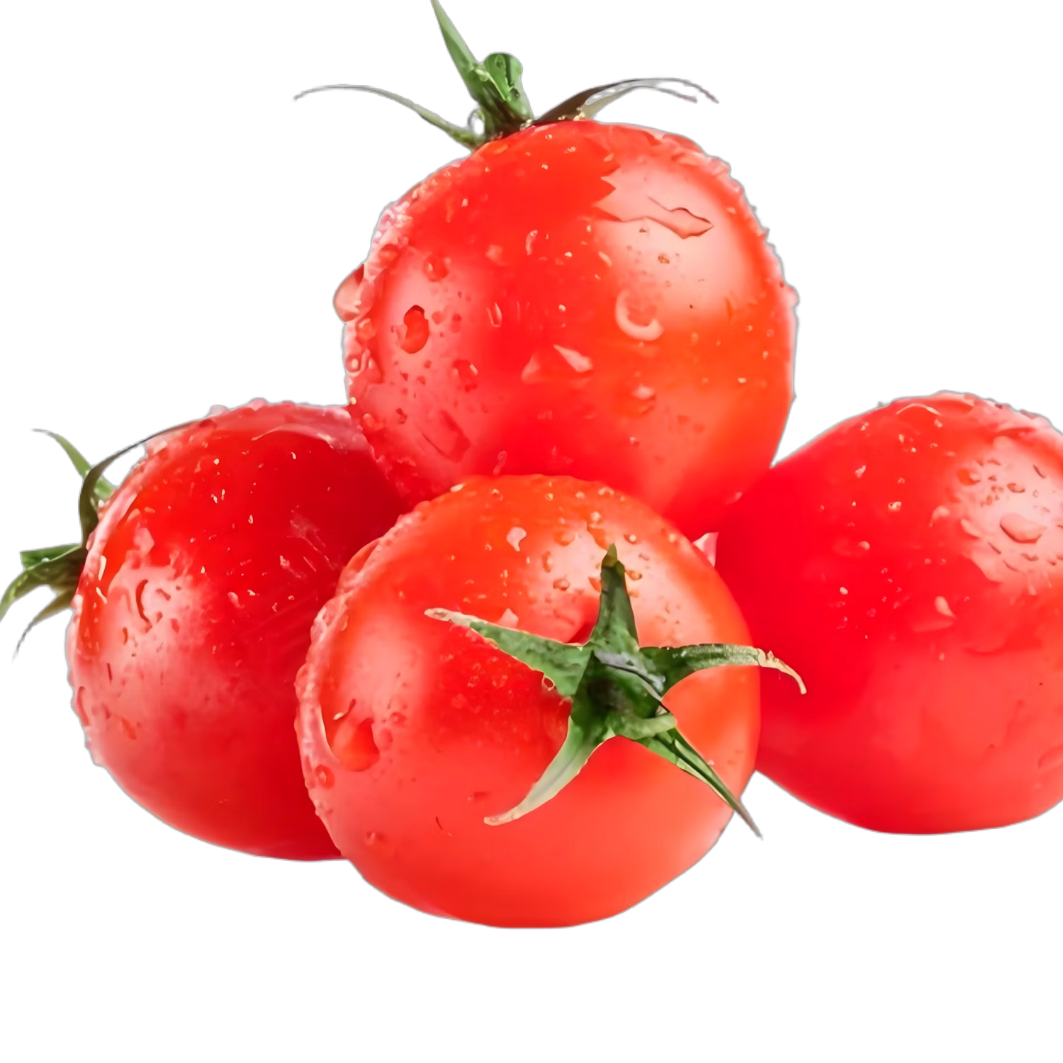 ��ѡ����С���� ��ժ�ַ� 5�� 13.99Ԫ