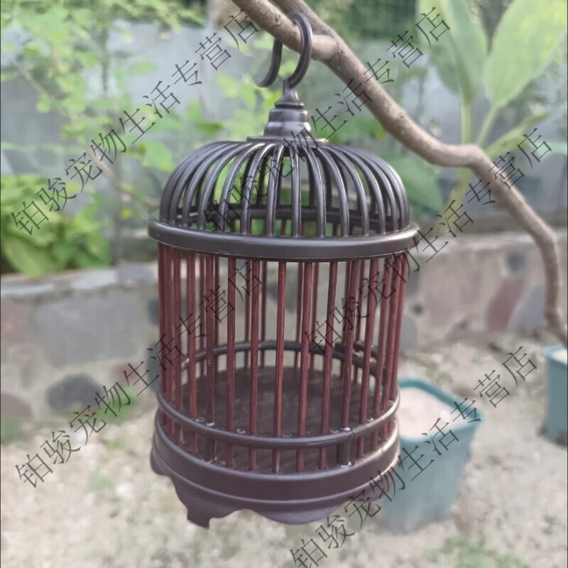 新款蝈蝈蛐蛐笼子手工防竹制蝈蝈精品笼鸣塑料虫鸣鸣虫圆顶 一个黑色大圆