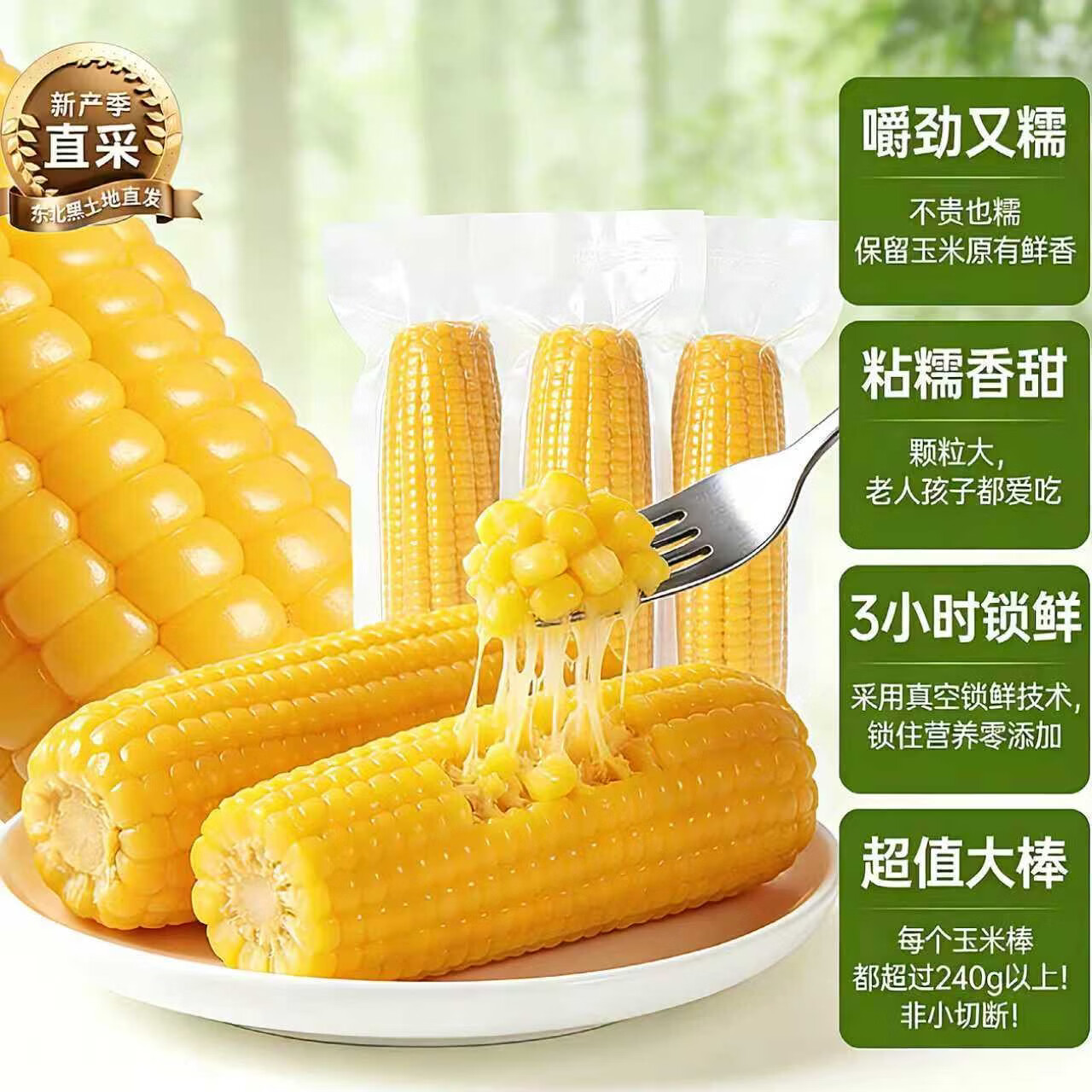 东北黑龙江黄糯玉米棒新货真空装包装袋黄苞米黏糯新鲜甜玉米特产 黄糯玉米200-260g*1根【真空装-试吃】