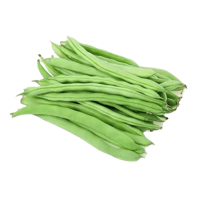新鲜现摘四季豆角农家蔬菜九月青油豆角整箱蔬菜生鲜源头直发 云南四季豆新鲜现摘【带箱2斤】