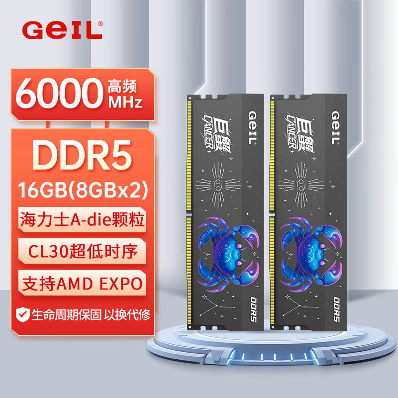 GEIL��� 16GB(8GBx2)��װ DDR5 6000 ̨ʽ�������ڴ��� ����ʿA-die���� ��з����ϵ�н�����C30 