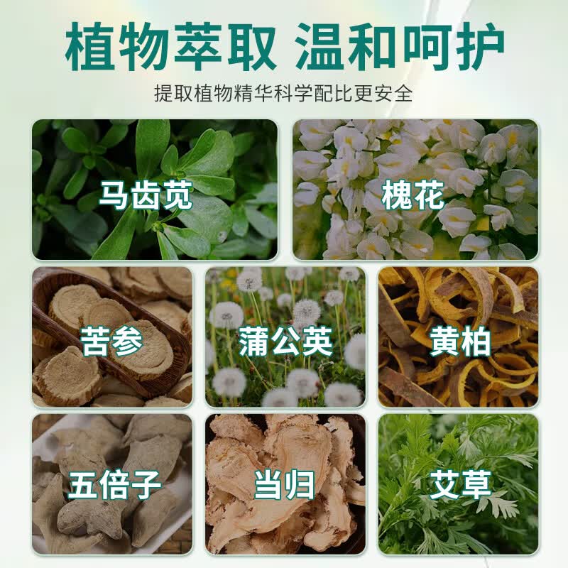 苗教授槐花马齿苋断痔膏医用痔疮膏内痔外痔效混冷敷痔坠特专用肿胀A6 两支基础桩