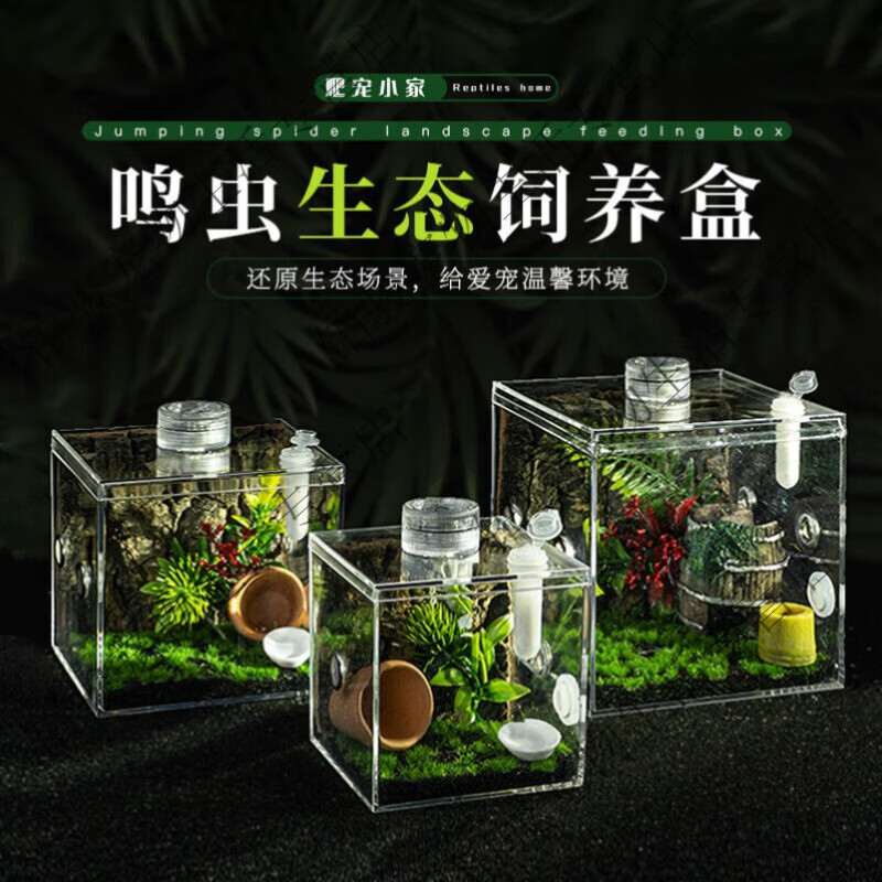 新款高透鸣虫生态盒蝈蝈盒油葫芦蛐蛐扎嘴跳蛛竹蛉螳螂昆虫盒 小号杜绝根饲养盒