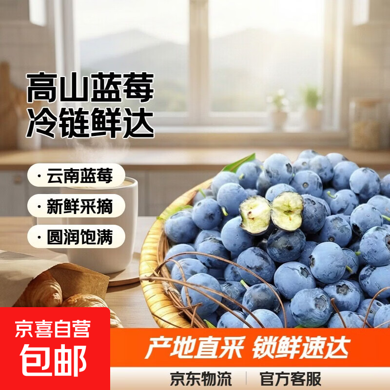 ���ϸ�ɽ��ݮ�ʹ�������ݮ�������ݮ���������ͻ����� С��2��װ������100g/�У� �й�12mm 9.9Ԫ