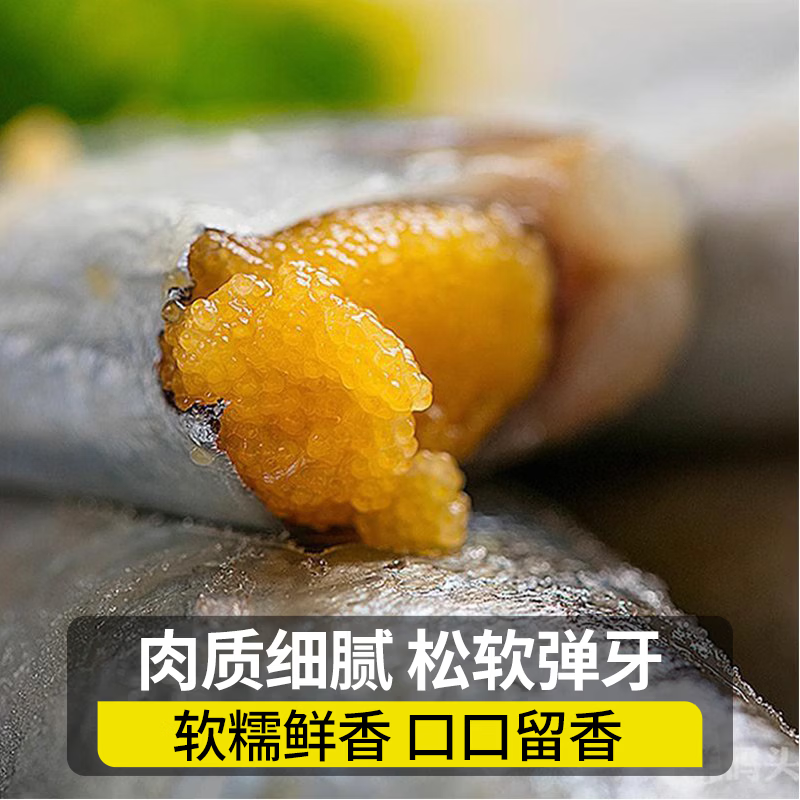 朵芙满籽多春鱼  特大多籽多春鱼净重 约30条/斤多子鱼烧烤食材海鲜 【4斤】满籽多春鱼-约25-30条/斤