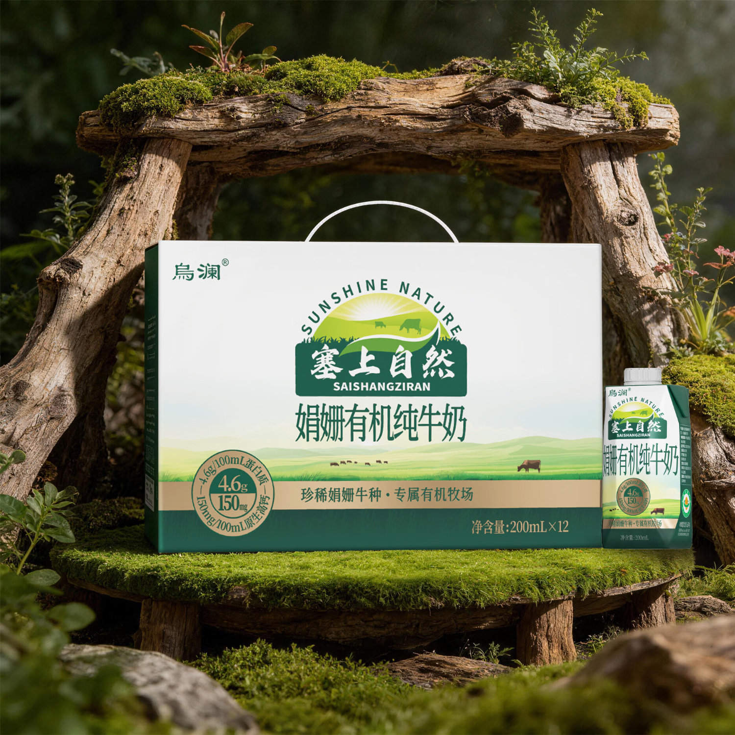 烏瀾塞上自然系列 娟姗有机a1纯牛奶200ml*12盒*4提 整箱早餐奶营养奶 娟姗有机a1纯牛奶200ml*12盒*2提