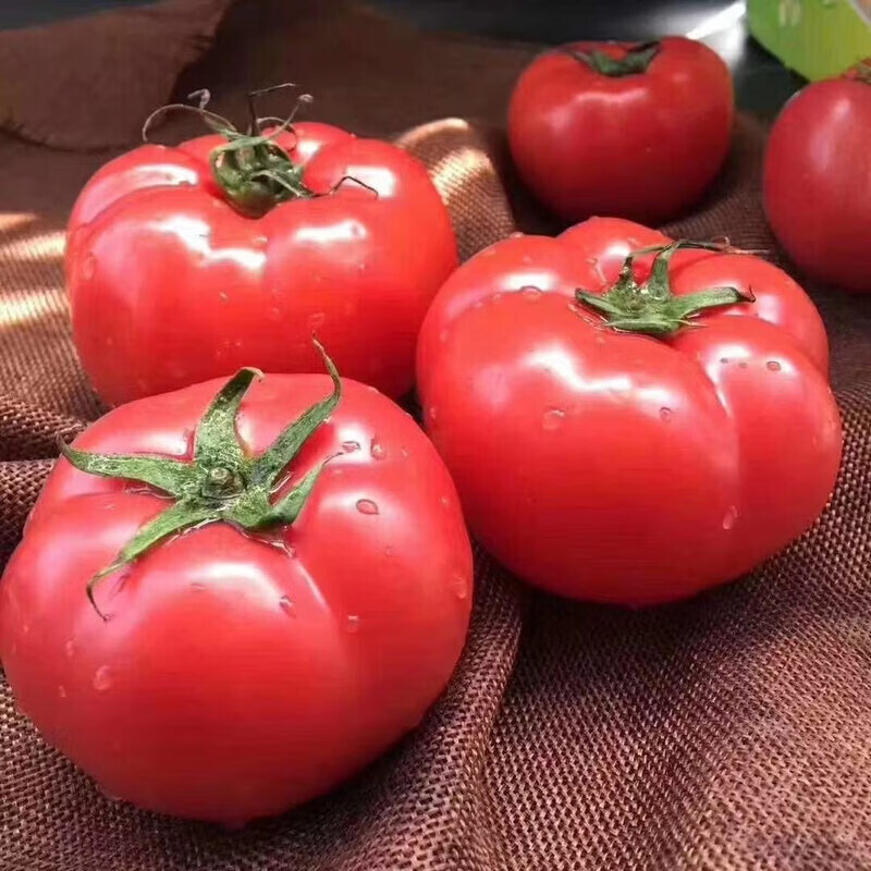 ɳȿ������ ��ɽ��ժ ����ˮ���߲� ����5�� ����70g+ �곤�Ƽ�װ 12.79Ԫ