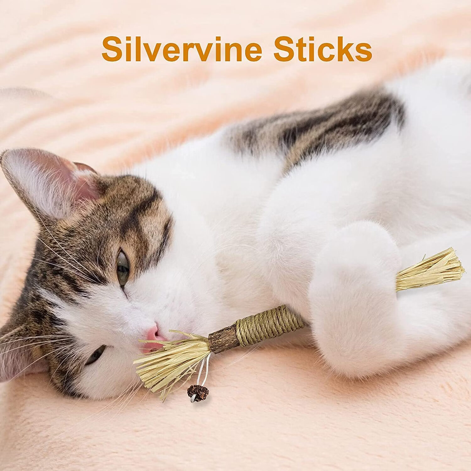 【优选百货】木天蓼猫薄荷玩具猫咪啃咬磨牙棒SilvervineStick 木天蓼虫瘿果款