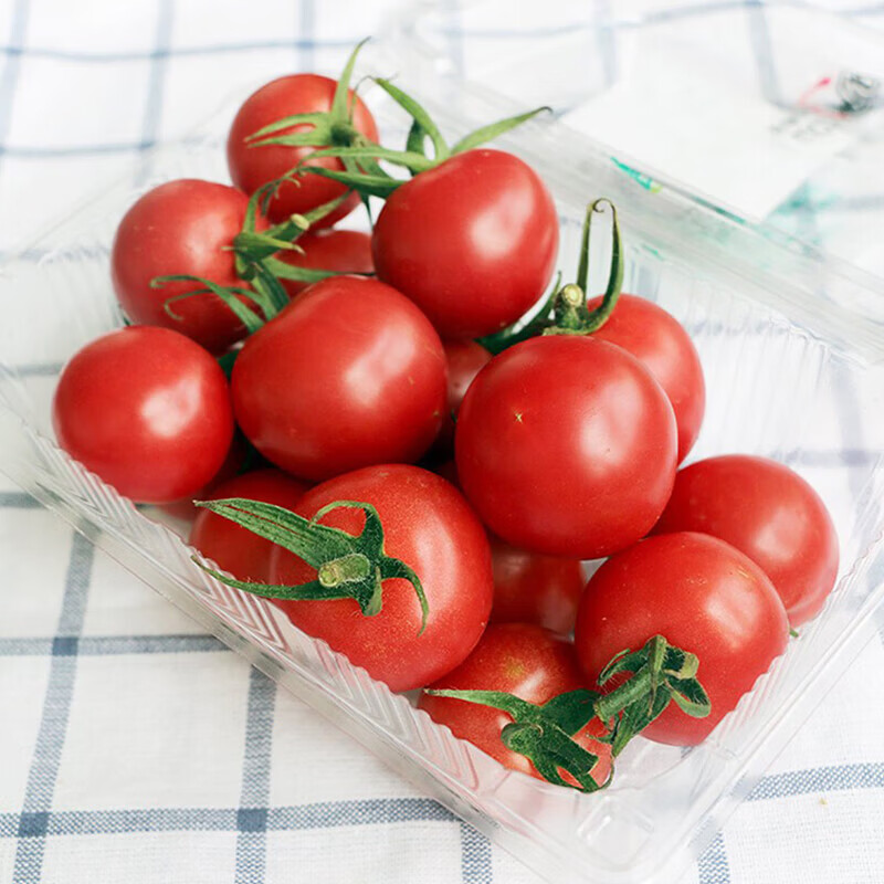 盛觅 圣女果小番茄现摘现发新鲜直达 圣女果 4.5斤 单果8g+ 新鲜采摘