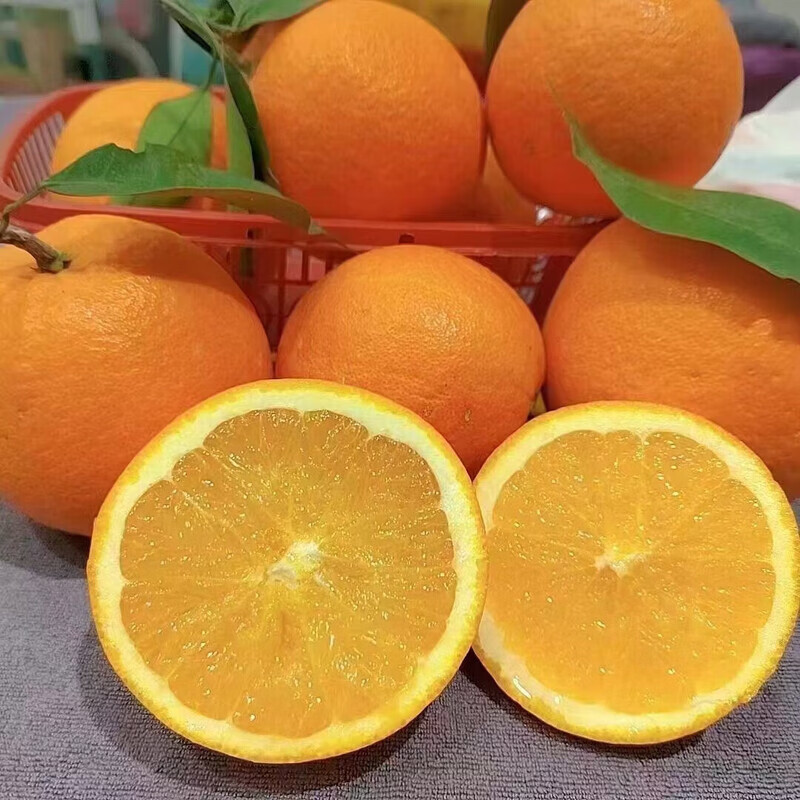 薏品甄鲜奉节脐橙地标水果新鲜现摘薄皮好剥新鲜采摘源头直发 奉节脐橙4.5斤【规格65-70mm】