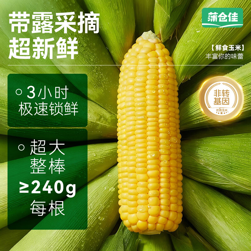 蒲仓佳东北黄糯玉米 头茬苞米软糯拉丝低脂早餐代餐真空锁鲜  【家庭装】甜糯玉米4.2斤（约7-10根）