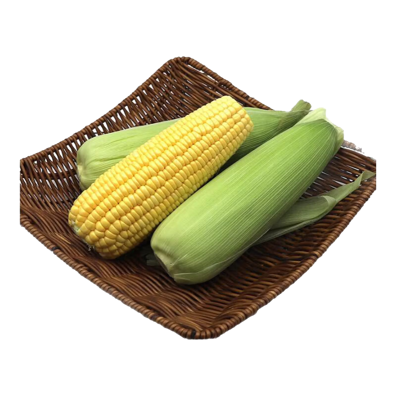 宝菜玉米新鲜黄甜玉米带皮水果玉米棒低脂减肥早餐 整箱包邮 5斤（约5-8根）