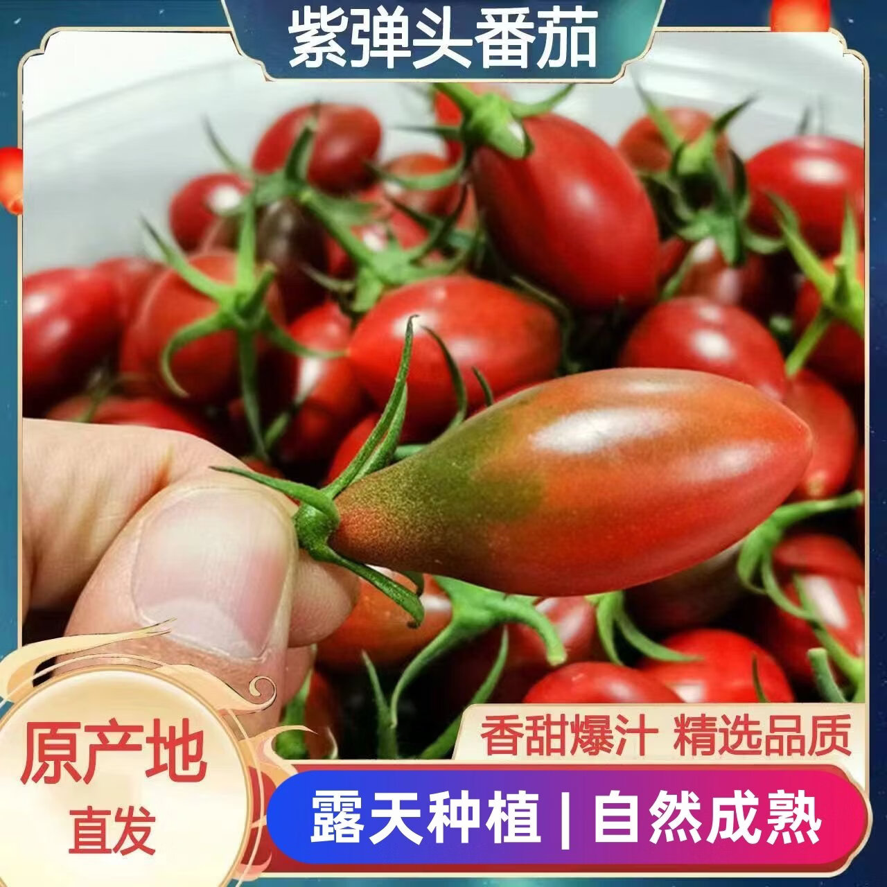 新鲜现货紫弹头迷彩小番茄紫葡萄圣女果超甜西红柿新鲜现摘水果W5 【实惠装】 3斤