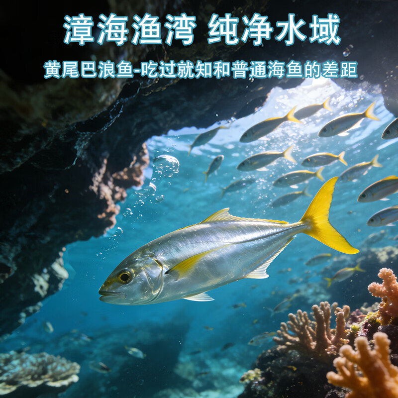 【珍干吧】福建特产即食熟巴浪鱼干海鲜干货海鱼干货小鱼干零食 黄尾巴浪鱼干238g*6袋
