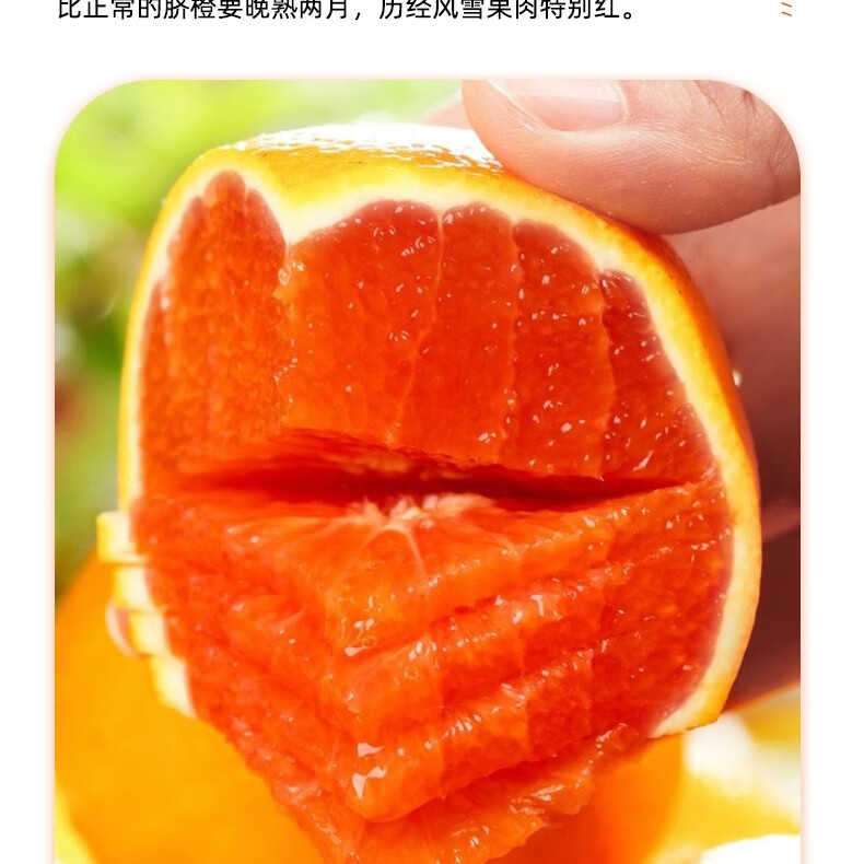 正宗秭归中华红血橙红肉脐橙现摘应季新鲜红心雪橙果园直发包邮 中果（65-70mm） 5斤
