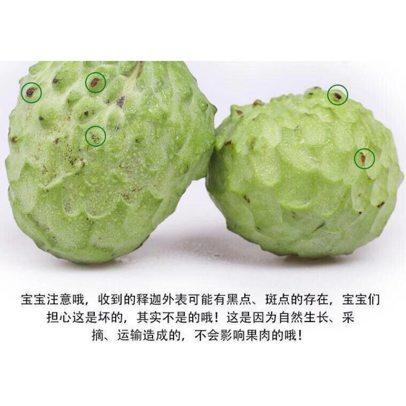 冰糖释迦果佛头果番荔枝 爆甜多汁牛奶果凤梨水果生鲜当季 3斤小果(150g+)需催熟