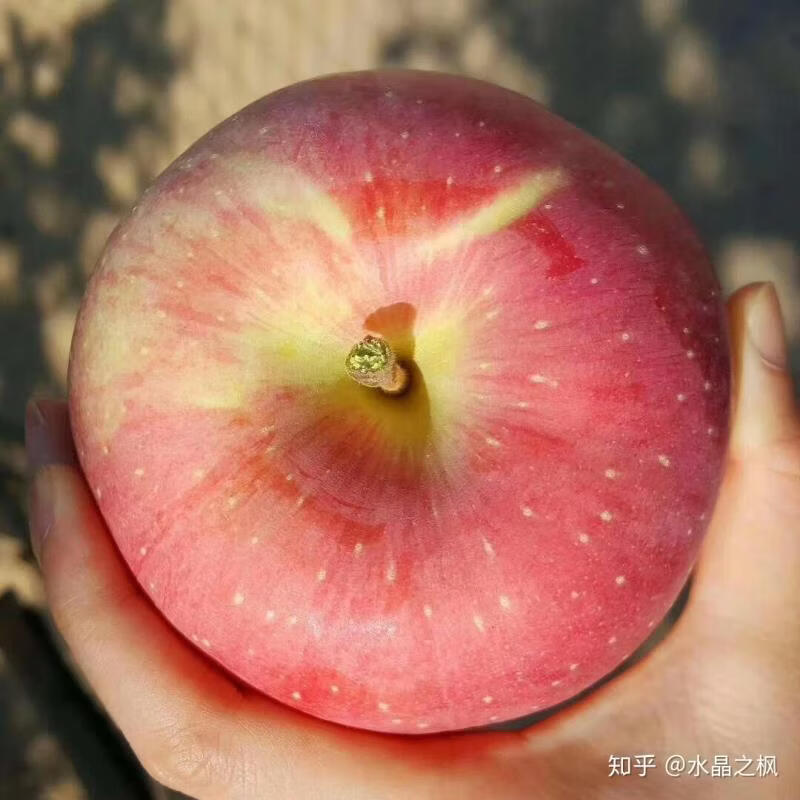 都食田间【顺丰包邮】正宗阿克苏苹果冰糖心新疆丑红富士脆甜多汁产地直发 65-100mm 不同规格果径大小不同_顺丰快递 12颗 精品礼盒95mm以上果王