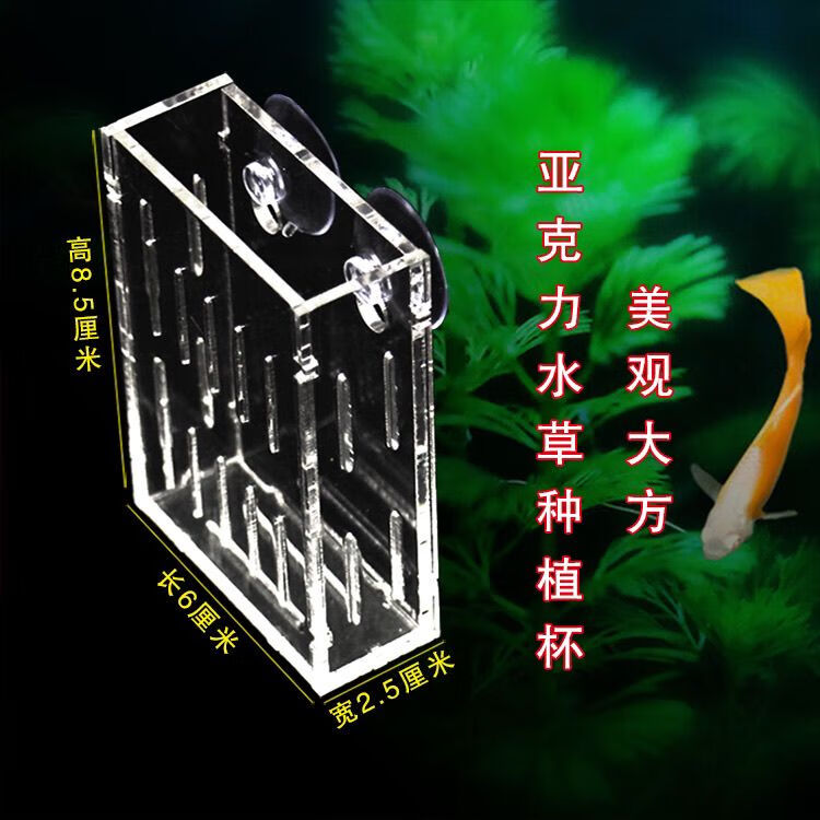 圣比莱草缸装饰亚克力水草种植杯饲育盆造景器水草盆 挂壁吸盘种植器