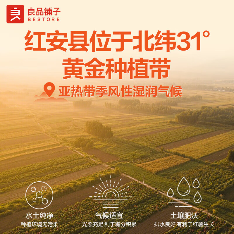 良品铺子红薯干鲜蒸番薯干地瓜干条代餐休闲食品包装 原蒸红薯干200g*2袋