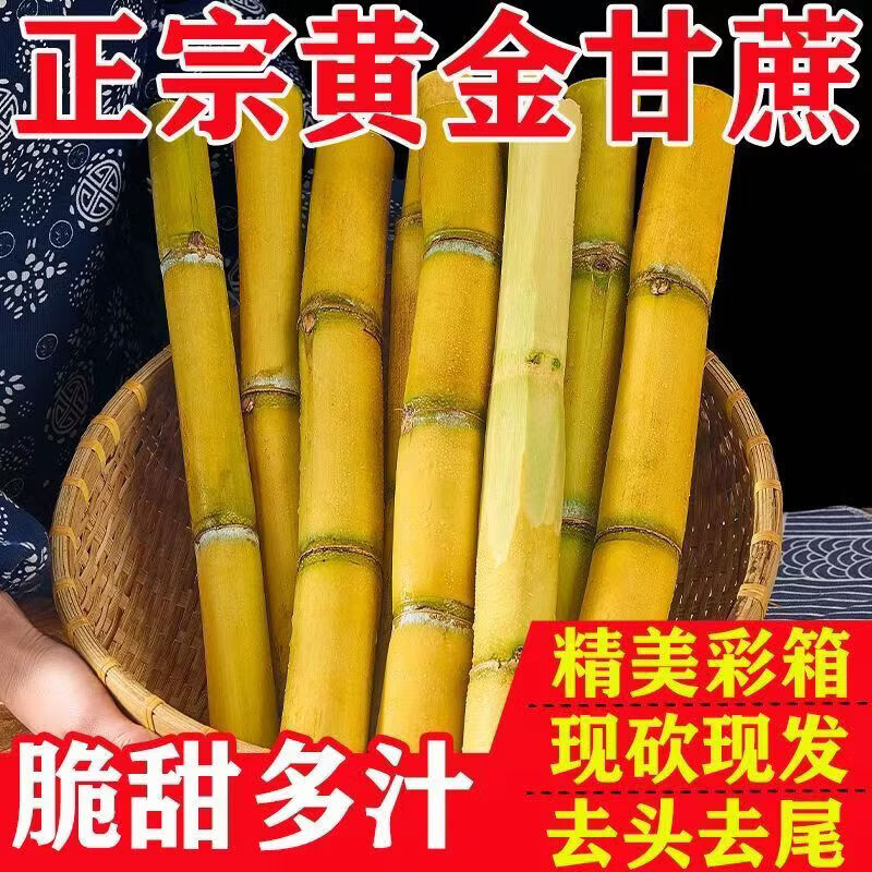 【爆甜】正宗云南黄金甘蔗新鲜当季水果整箱现发中段甘蔗 【精品装--中段】 5斤带箱(净重4.5斤)