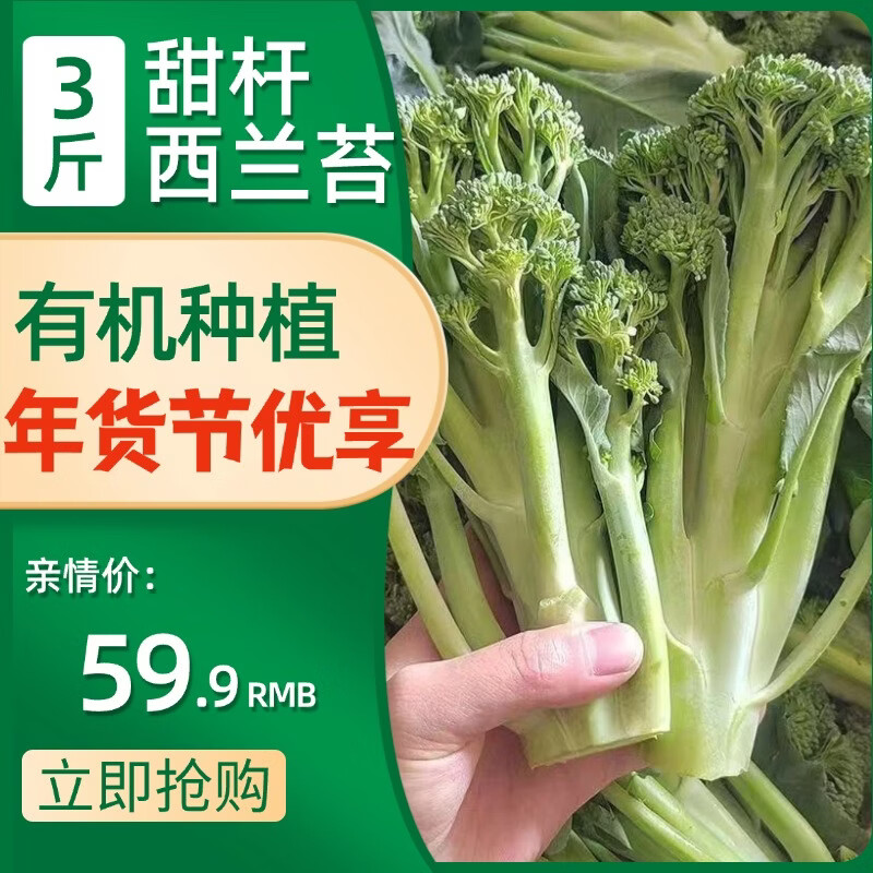 新鲜甜杆西兰苔有机种植现摘现发顺丰上门膳食纤维轻食清脆清甜 有机种植新鲜甜杆西兰苔足量 安全食材家庭装1500g(3斤)