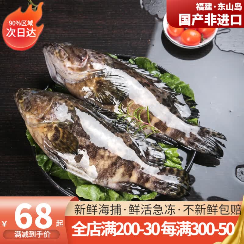 携宴龙胆石斑鱼 老虎斑 珍珠斑 龙趸鱼 海鲜水产国产深海石斑端午礼盒 1-1.3斤/条