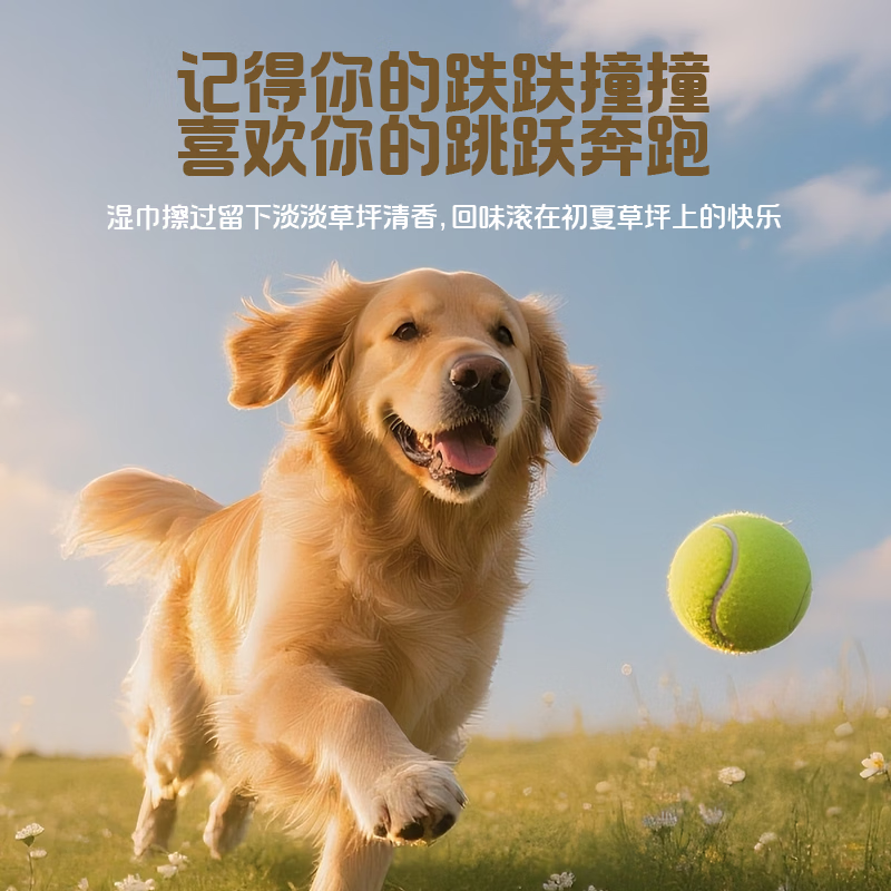 图 6