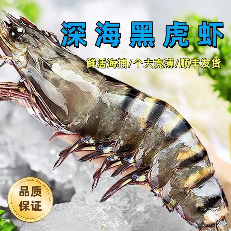 CLCEY进口黑虎虾高品质鲜活冷冻黑虎虾大虾类超大老虎虾顺丰包邮到家 22-24厘米共8只 1000g(净重) 礼盒装