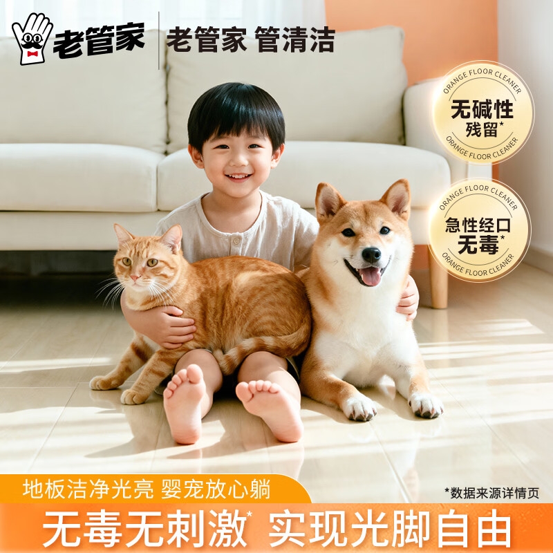 老管家地板清洁剂实木地板瓷砖净厕所除菌家用地面清洗液拖地神器500ml 2瓶