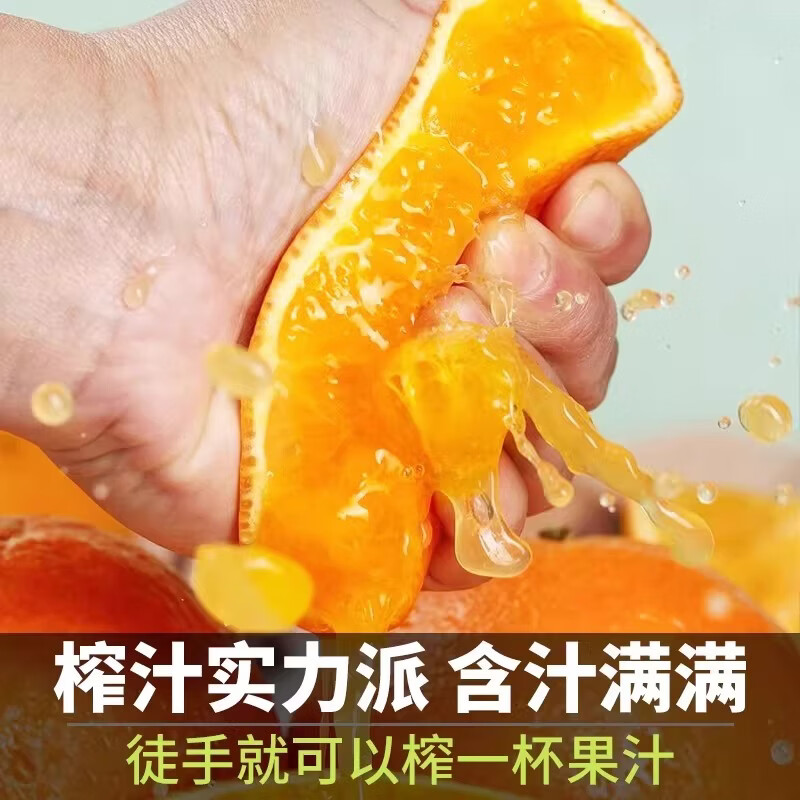 绿熊庄园【京东】正宗红美人柑橘28号果冻橙薄皮无核新鲜当季水果孕妇礼盒 中大果200-250g 净重5斤