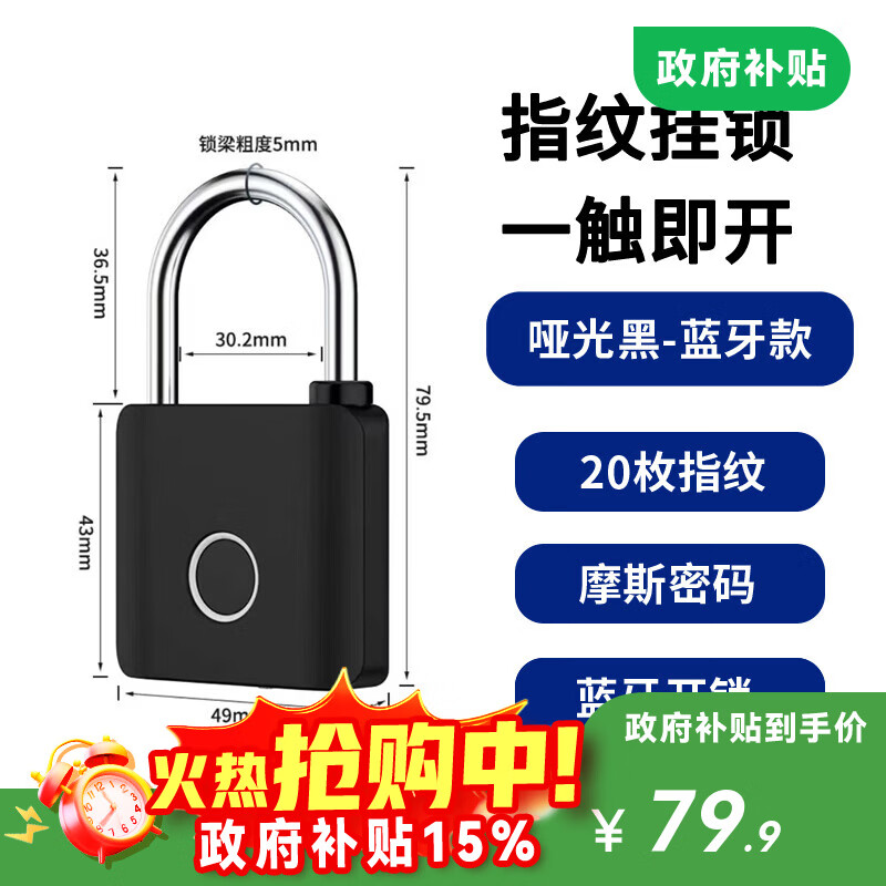 法雷斯顿 FALEISTON智能电子锁指纹挂锁家用小锁头抽屉锁学生寝室宿舍柜门储物防盗锁 哑光黑-蓝牙款