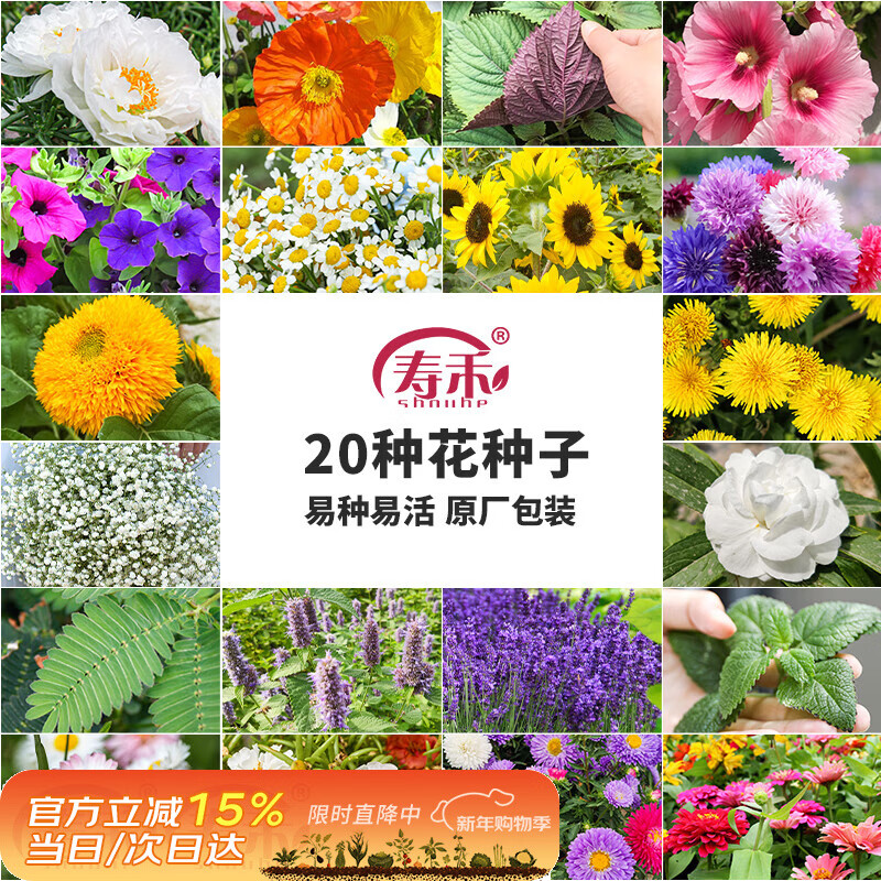 寿禾 花种子苗薄荷波斯菊太阳花格桑花向日葵花种籽 20种花草种子套餐