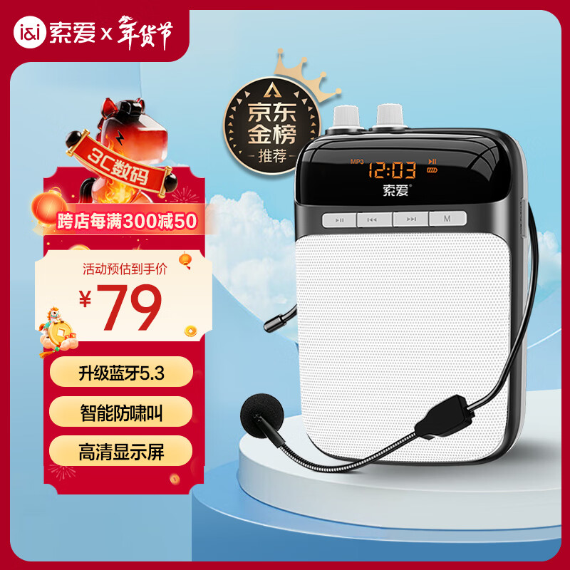 索爱（soaiy）S318小蜜蜂扩音器教师专用蓝牙音箱音响小喇叭TF卡U盘录音麦克风户外导游便携式教学Type-c 黑