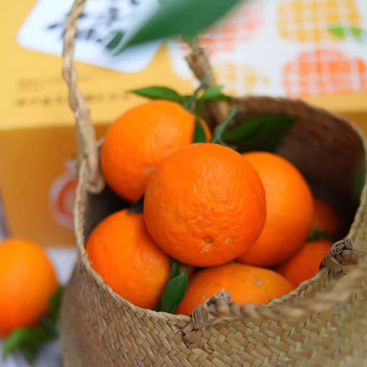 绿熊庄园【京东】红美人柑橘爱媛28号果冻橙爆甜柑橘新鲜孕妇薄皮水果礼盒 【超值囤货装】单果180g+ 净重8斤 净重5斤