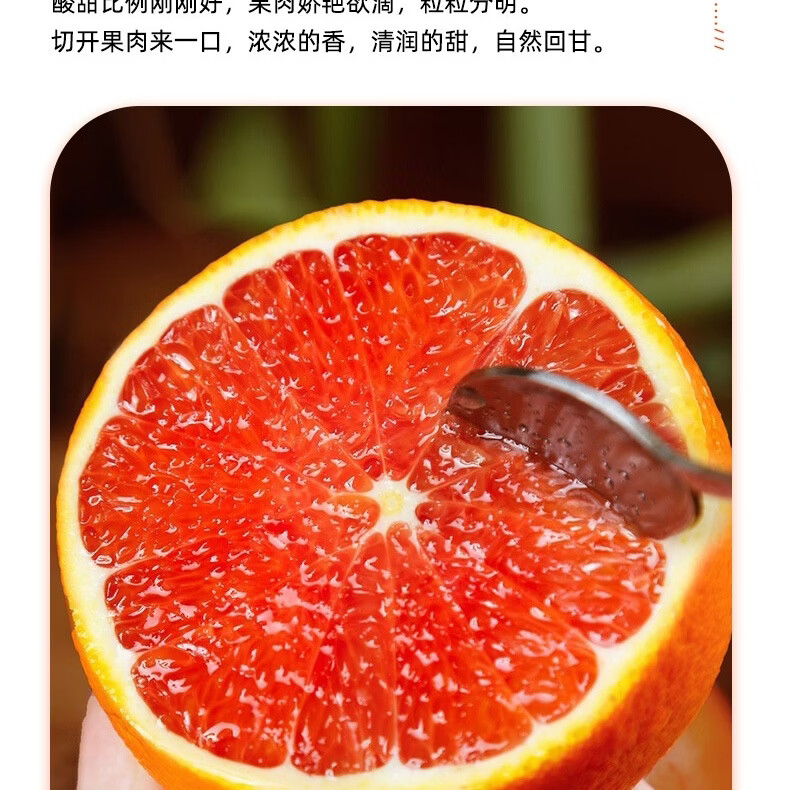 正宗秭归中华红血橙红肉脐橙现摘应季新鲜红心雪橙果园直发包邮 中果（65-70mm） 5斤