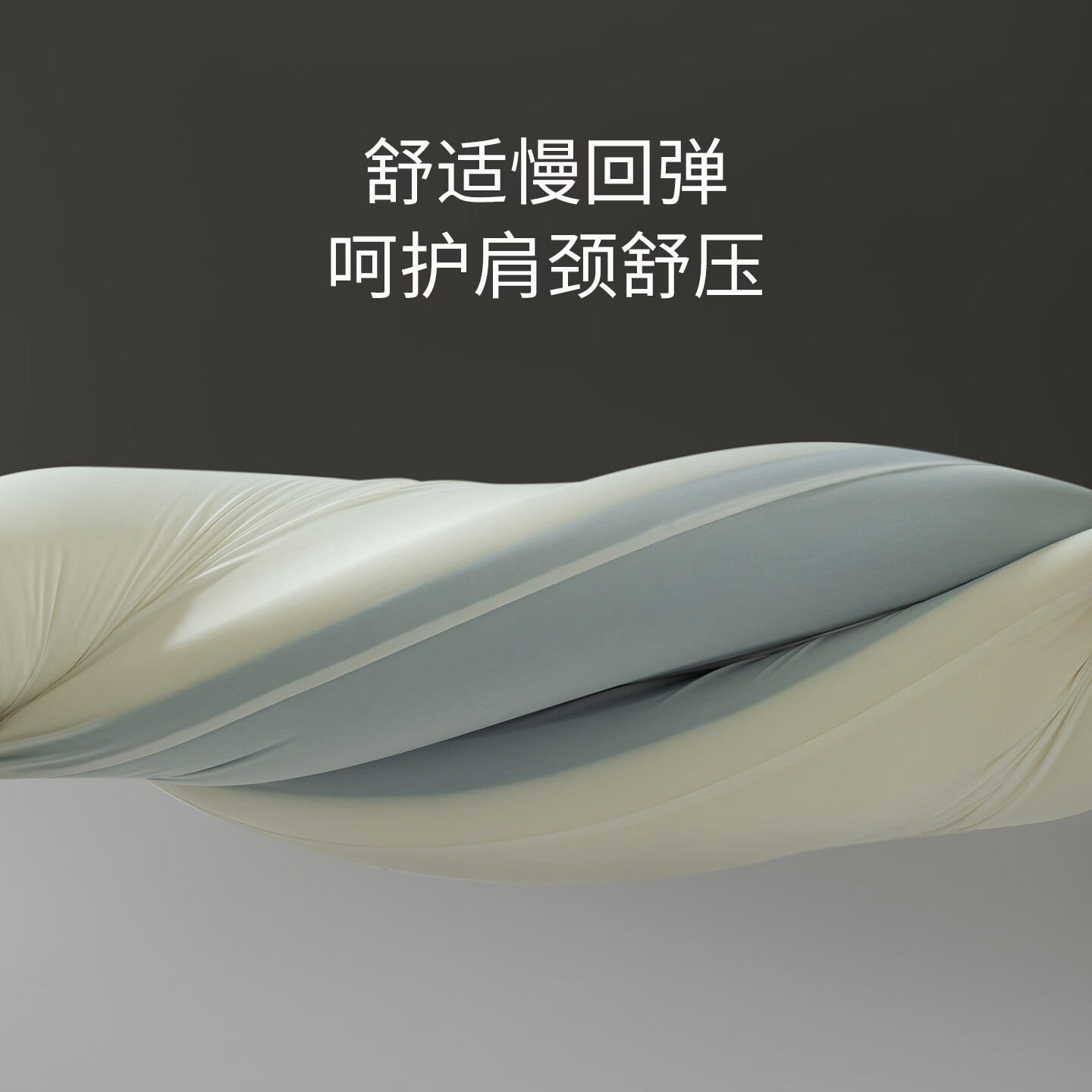 GERTHRON德国枕头记忆枕慢回弹护颈椎助睡眠酒店家用枕芯儿童成人深睡枕 单只超低枕6cm 零压深睡记忆枕