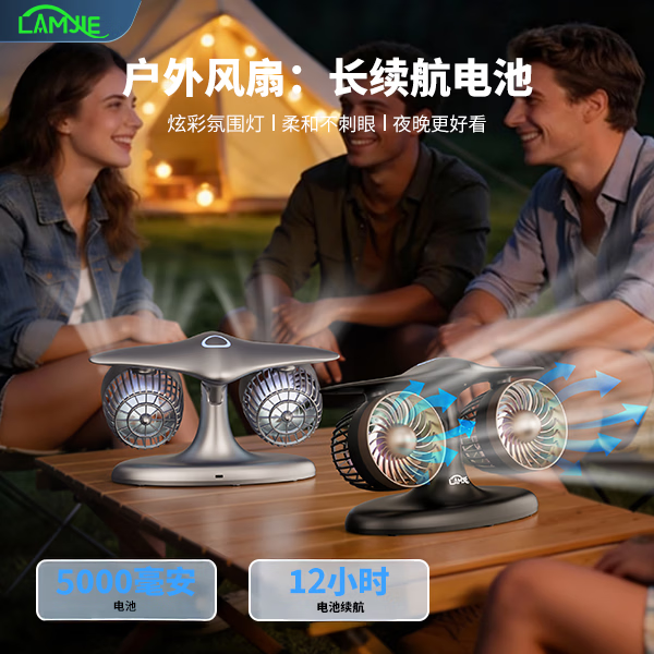 LAMJIE创意飞机风扇双涡轮usb充电风扇办公室宿舍电竞潮玩炫酷桌面摆件风扇长续航夏天降温静音小风扇 5000毫安【无刷电机/炫彩灯光】 5000mAh 【灰瀚银】三重风量加速/长效续航/静音