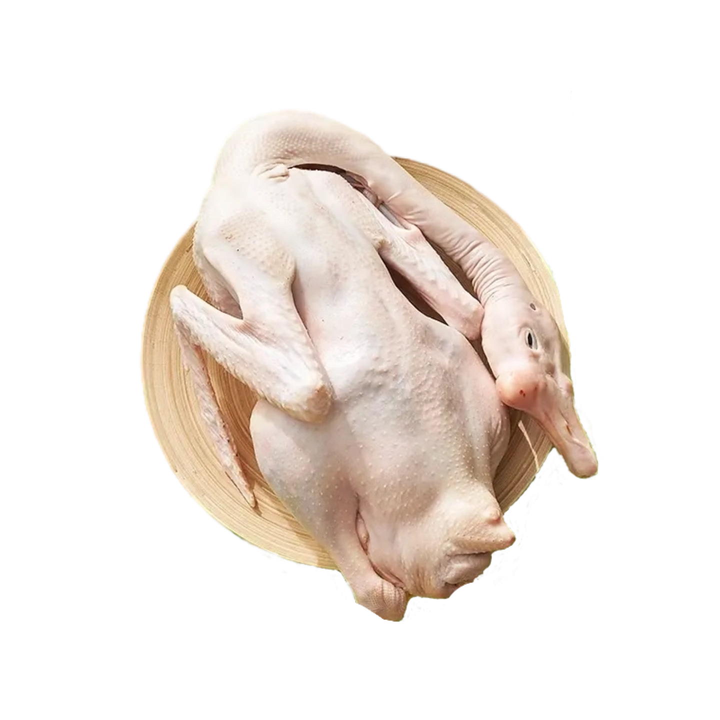 Ҽ��������ʨͷ����ֻ����11�� ����������������ٶ����⾻�� Դͷֱ��