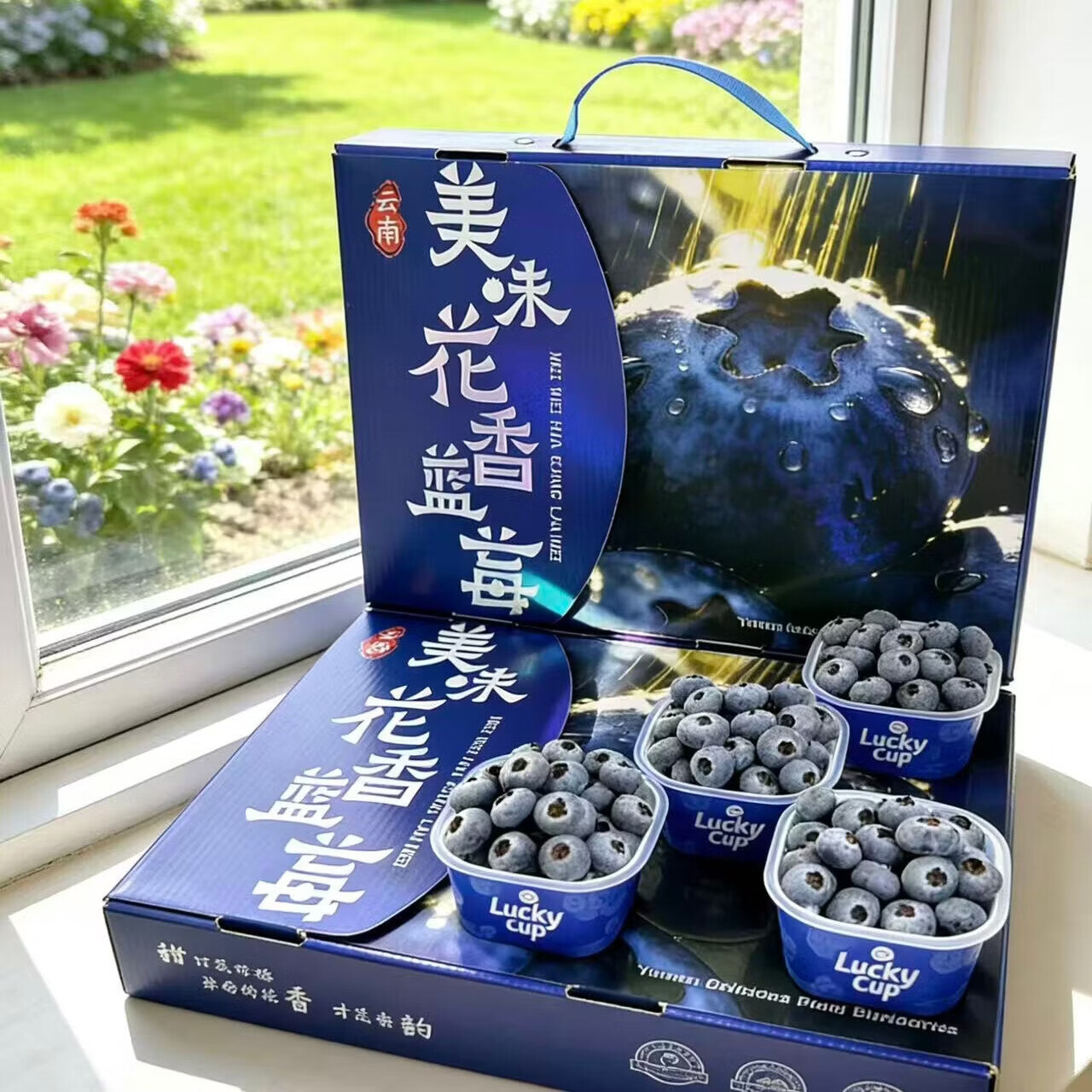 云南澄江抚仙湖花香蓝莓L25蓝莓脆甜天花板 特大果源头空运次日达 L25花香蓝莓62.5g*8杯礼盒装+顺丰空运 大果18mm+